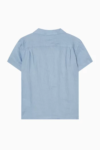 Andy Camp Sports Shirt in Linen