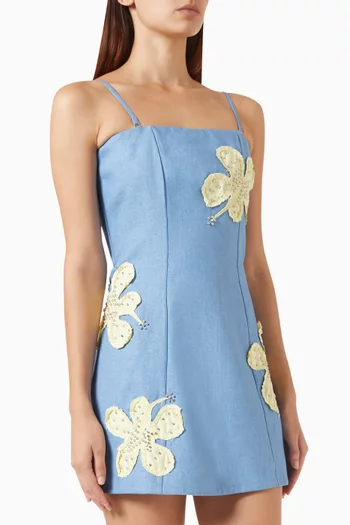 Robibi Mini Dress in Linen