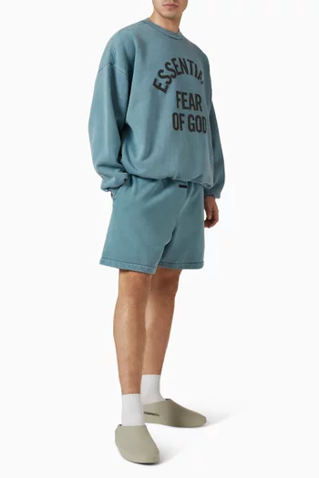 Campus 90s Crewneck Sweatshirt in Fleece