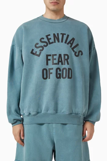 Campus 90s Crewneck Sweatshirt in Fleece
