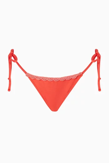 Kay Star Bikini Briefs