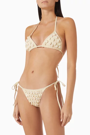 Eve Shells Bikini Briefs