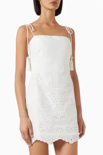 Luz Nace Mini Dress in Linen