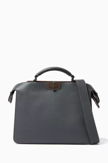 Mini Peekaboo ISeeU Top-handle Bag in Leather