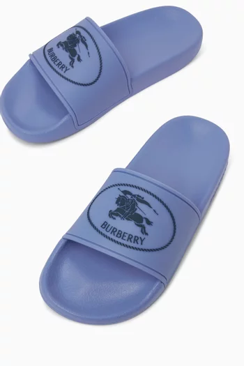 Furley Slides