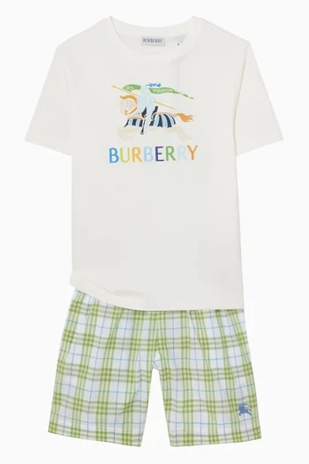 Felix Check Shorts in Cotton