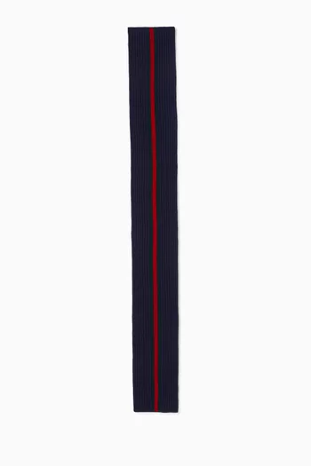 Long Striped Scarf