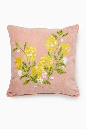 Embroidered Cushion in Velvet