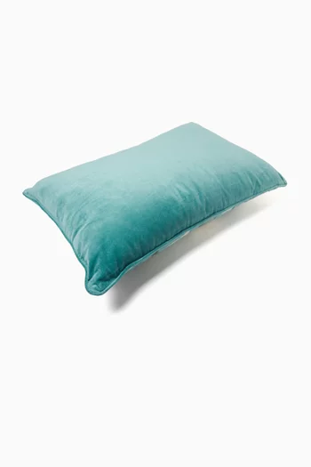 Embroidered Cushion in Velvet