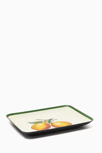Tropical Vide-poche in Iron