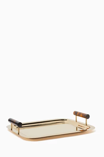 Resin-handle Tray in Brass