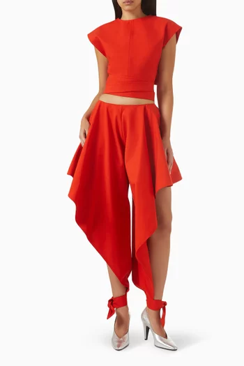 Sanguine Panelled Pants in Cotton-poplin