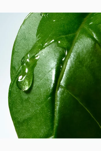Basil & Hinoki Liquid Soap, 360ml