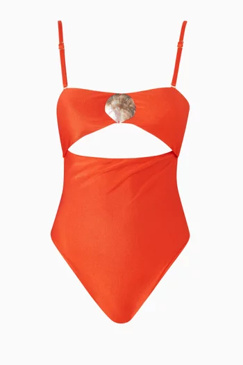 Leo One-piece Swimsuit