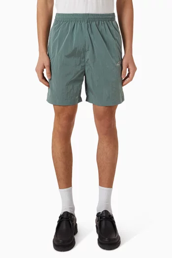 Shiny Crisp Shorts in Recycled Nylon