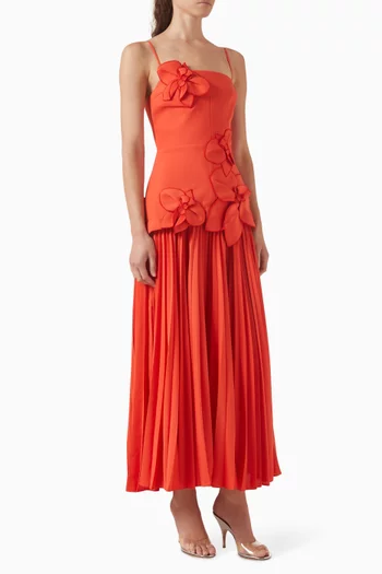 Avision Maxi Dress