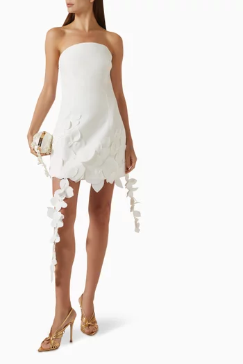 Sandia Mini Dress