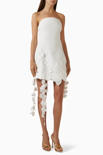 Sandia Mini Dress