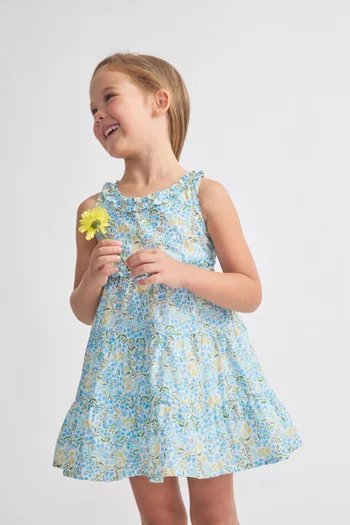 Mesina Printed Dress