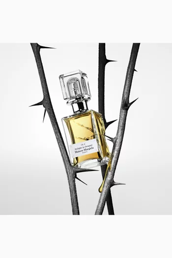 عطر ديلايت ان ديسبير من مجموعة سنسوريام، 75 ملل