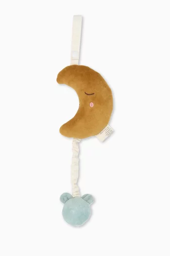 Bear Moon Music Mobile