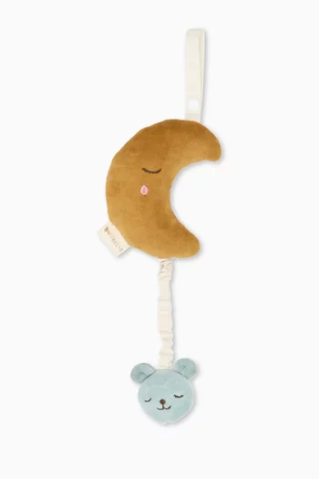 Bear Moon Music Mobile