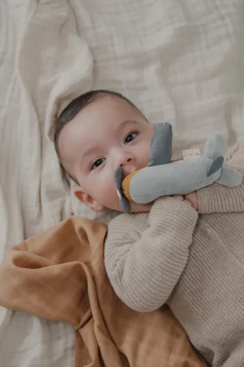 Little Flyers Airplane Rattle