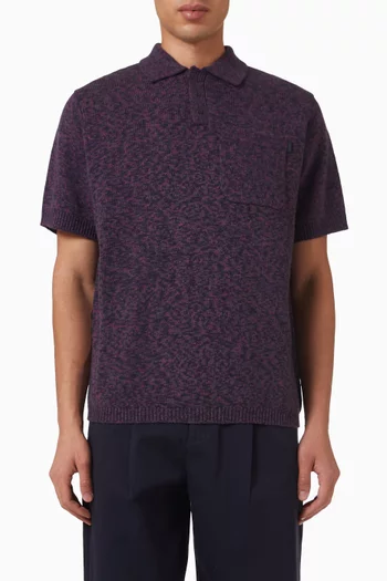 Knitted Polo Shirt in Wool-blend
