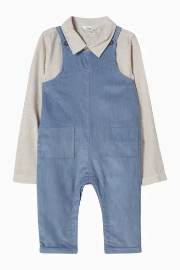 Jake Stripe Shirt