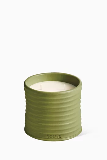 Medium Pistachio Candle, 610g