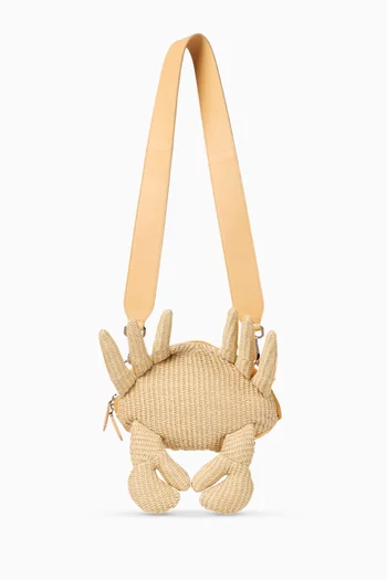Crab Crossbody Bag in Raffia & Jacquard