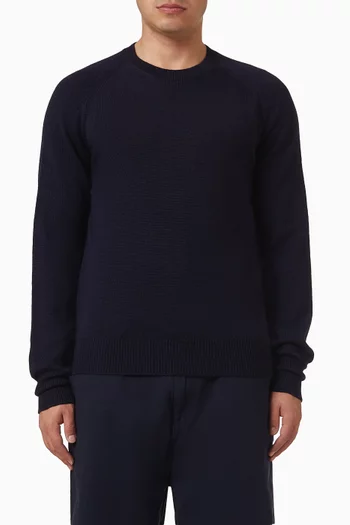 Crew Neck Sweater in Merino Wool
