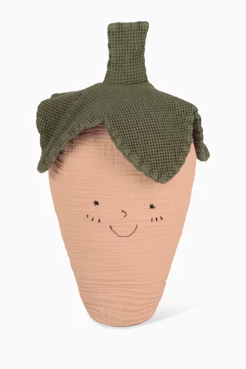 Strawberry Cushion