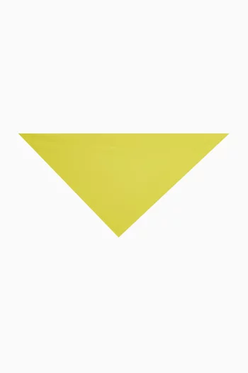 Triangle Scarf in Poly Lycra