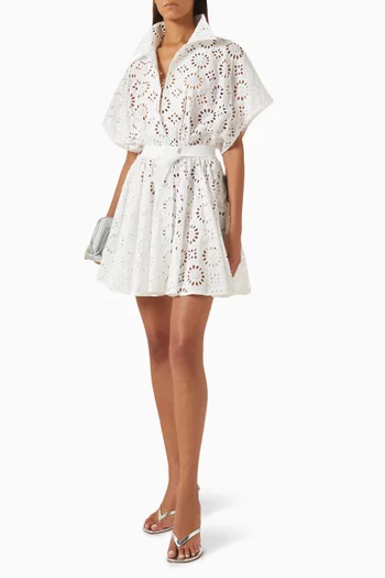 Embroidered Flared Mini Dress in Cotton