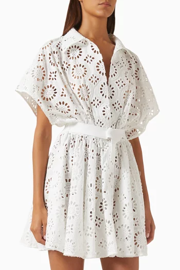 Embroidered Flared Mini Dress in Cotton