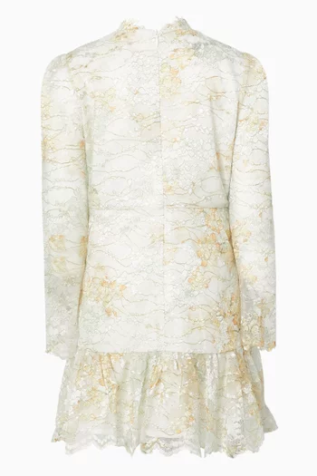 Rayne Embroidered Mini Dress in Lace