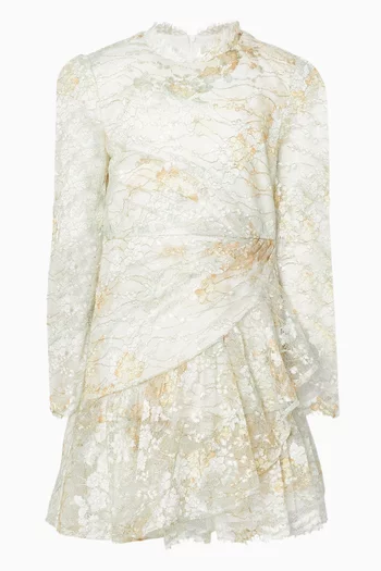 Rayne Embroidered Mini Dress in Lace