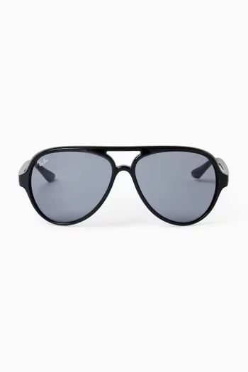 Pilot Sunglasses in Acetate