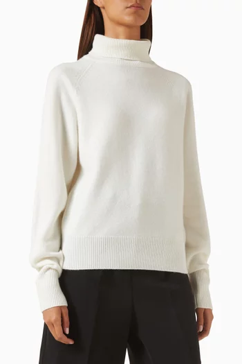 Gigi Turtleneck Sweater in Cashmere