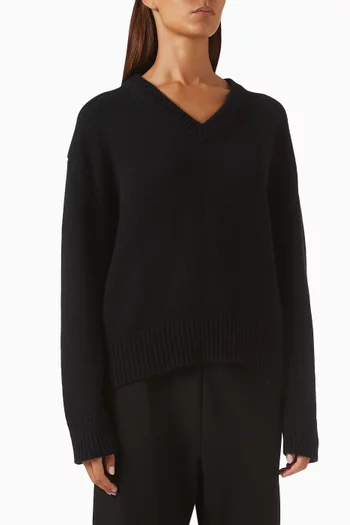 Yara V-neck Sweater in Knit