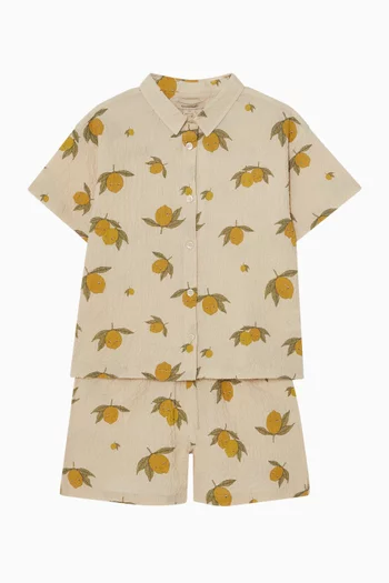 Elliot Shirt in Organic Cotton
