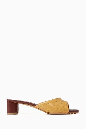 Livia 40 Mules in Intrecciato Nappa Leather