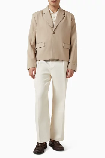 Dorian Pleated Tailored Pants in Linen