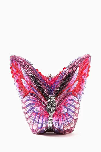 Butterfly Aurora Clutch
