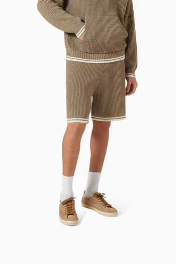 Super-Star Skate Sneakers in Suede