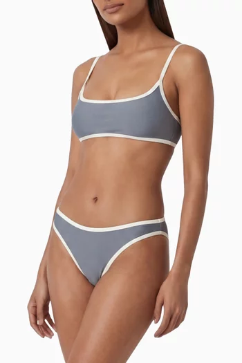 Most Wanted Bikini Briefs