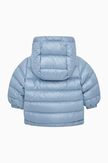 Icarus Down Jacket