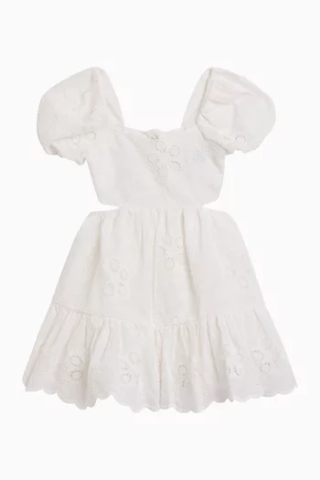Ellory Embroidered Mini Dress