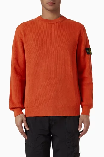 Ribbed Crewneck Sweater in Organic Cotton